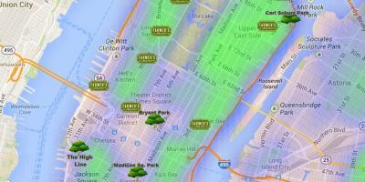 Mappa di Manhattan parchi
