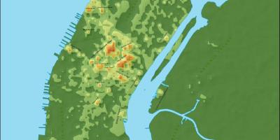 Mappa di Manhattan topografica